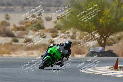 media/Apr-10-2022-SoCal Trackdays (Sun) [[f104b12566]]/Turn 5 Tree of Life (1040am)/